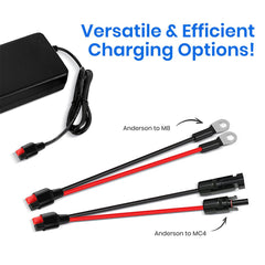 Vterun 20A Lithium Battery Charger 2-in-1